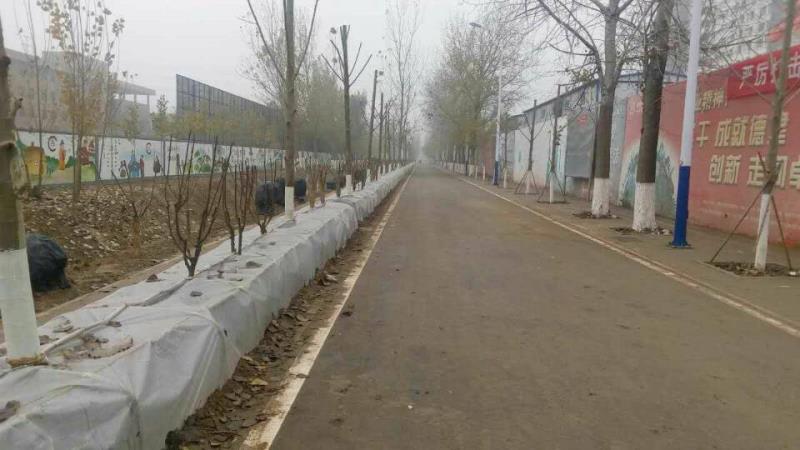 6940FF1848864103675CEDE9BDFD5775.jpg 6940FF1848864103675CEDE9BDFD5775.jpg